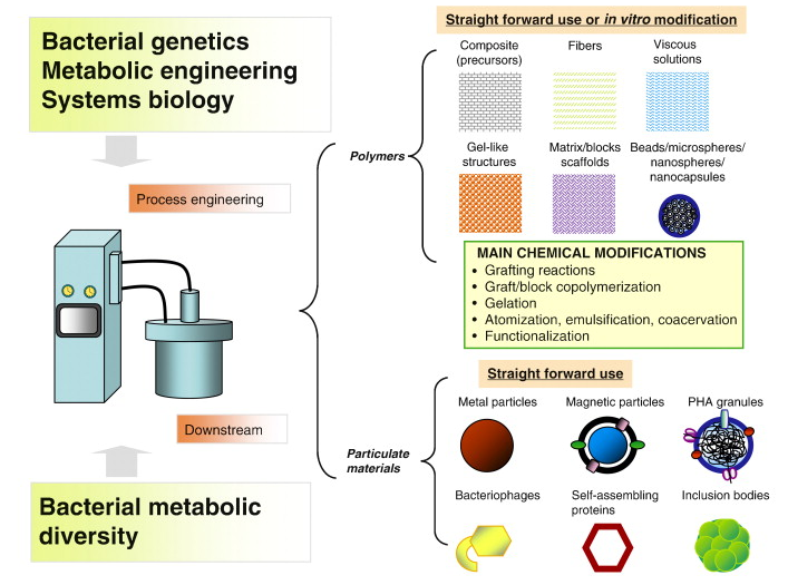 1666_Microbial bioproducts.png